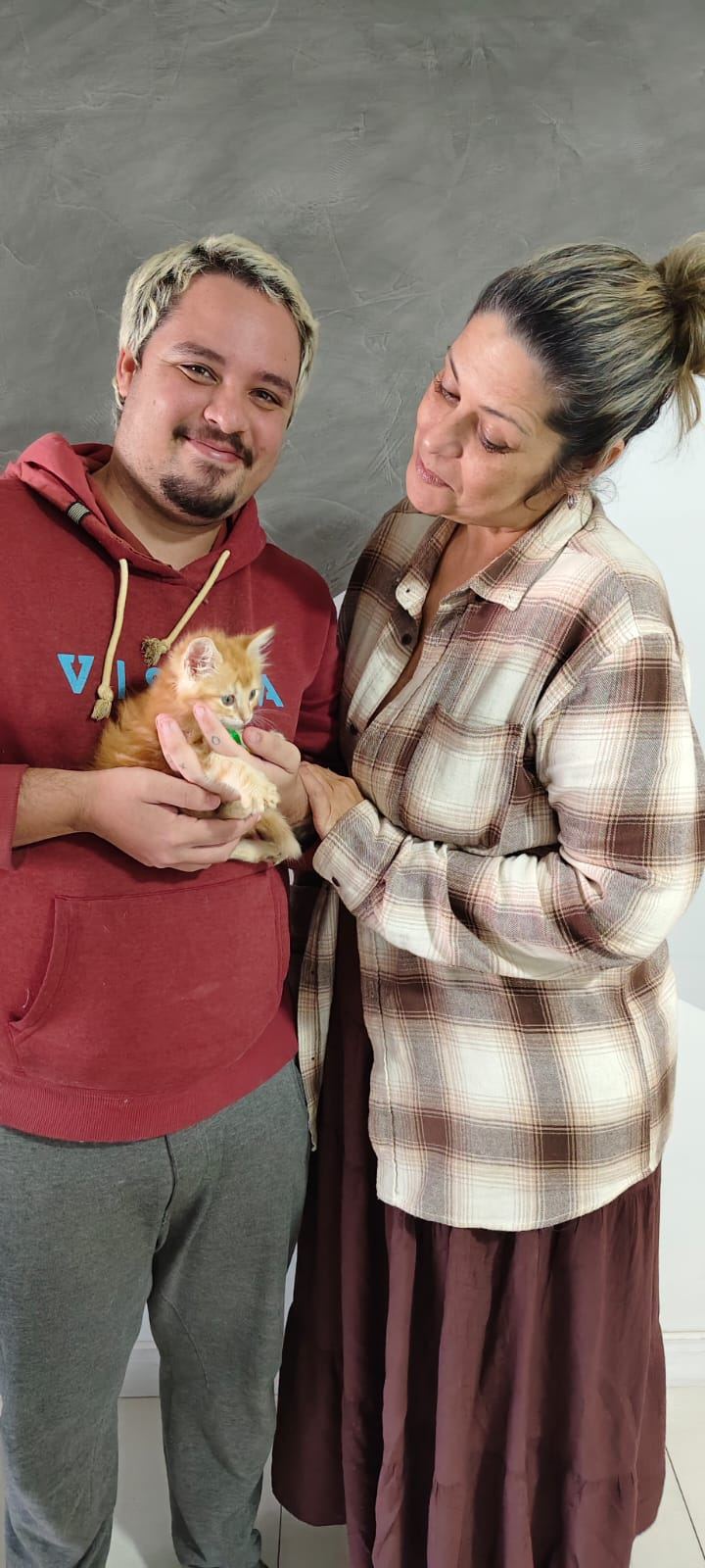 Responsible cat adoption